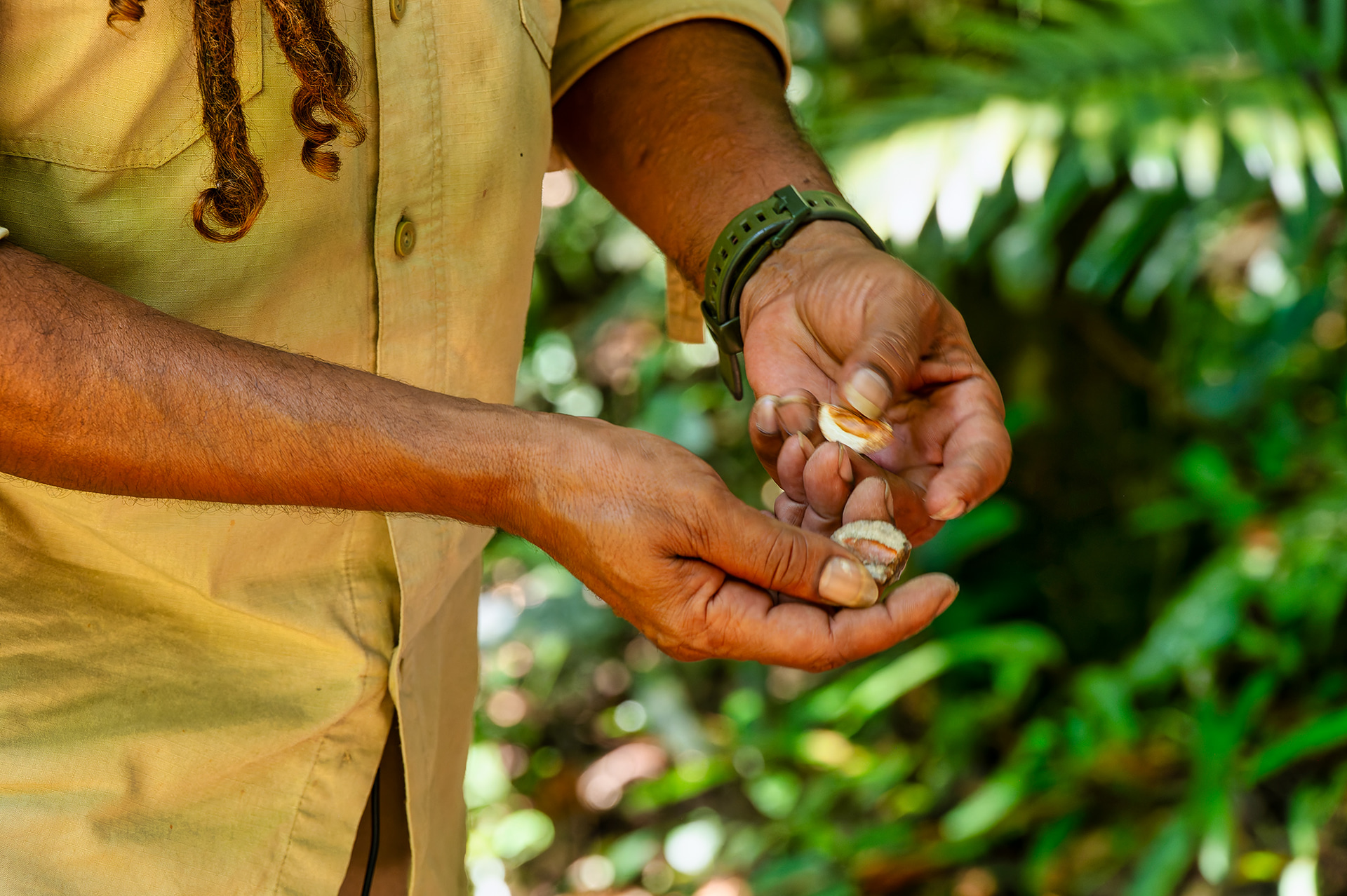 脈々と受け継がれてきた先住民クク・ヤランジ族の数々の知恵と経験。そんな英知を触れられるのもドリームタイム・ウォークの魅力