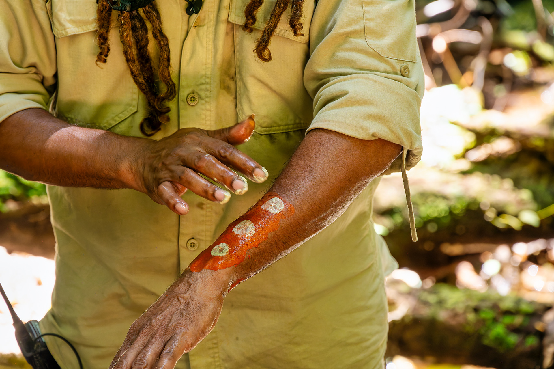 発色のよさは正直驚愕するレベルだ