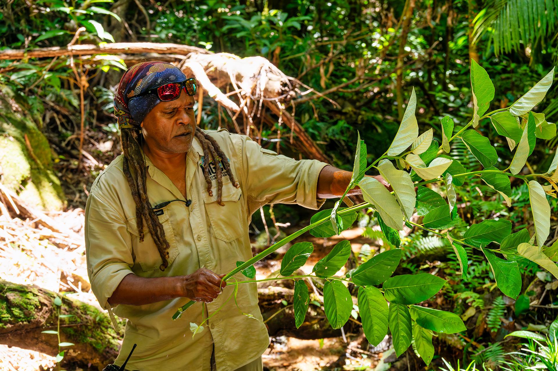 木の葉をむしり水につけて揉みほぐすと、天然の石鹸「ブッシュ・ソープ」のできあがり。先ほどの顔料もきれいに洗い流すことができる