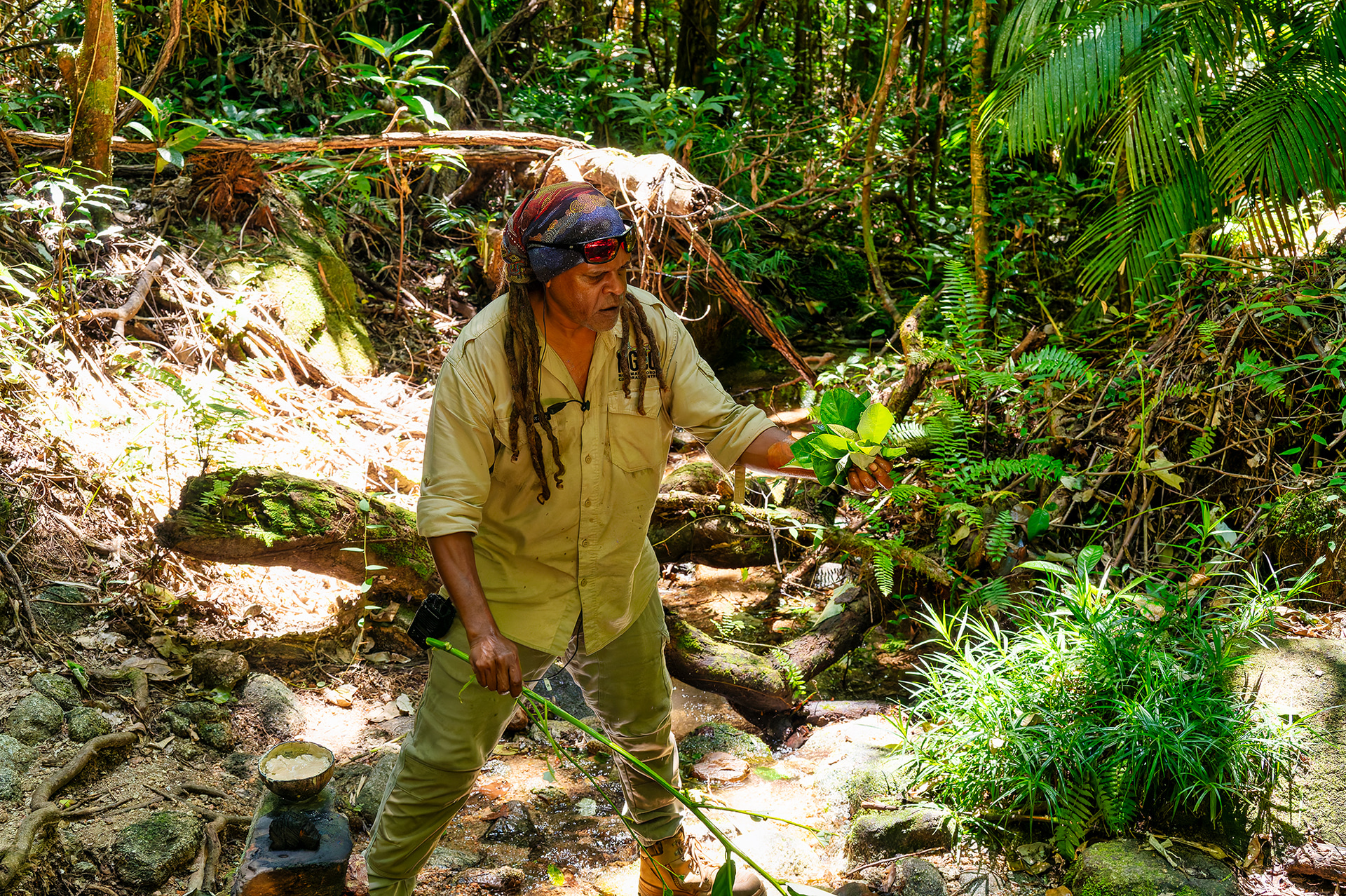 木の葉をむしり水につけて揉みほぐすと、天然の石鹸「ブッシュ・ソープ」のできあがり。先ほどの顔料もきれいに洗い流すことができる