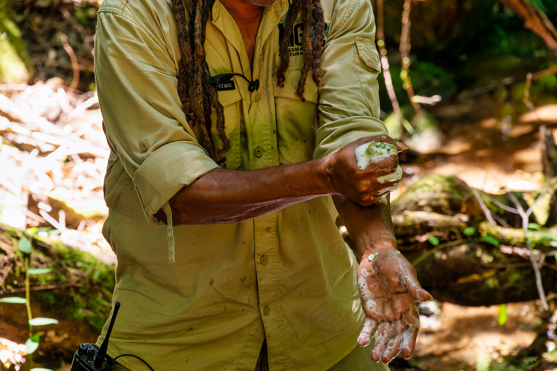 木の葉をむしり水につけて揉みほぐすと、天然の石鹸「ブッシュ・ソープ」のできあがり。先ほどの顔料もきれいに洗い流すことができる