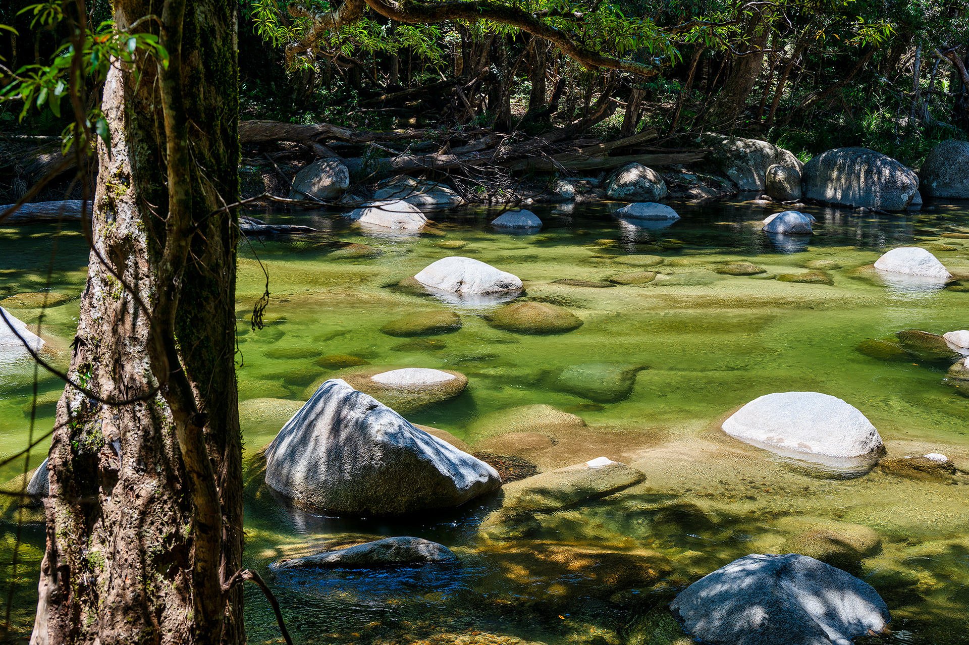 モスマンゴージ・カルチャー・センターはエコツーリズム施設して注目されている場所だ。自然と文化が交錯した貴重な体験をぜひ