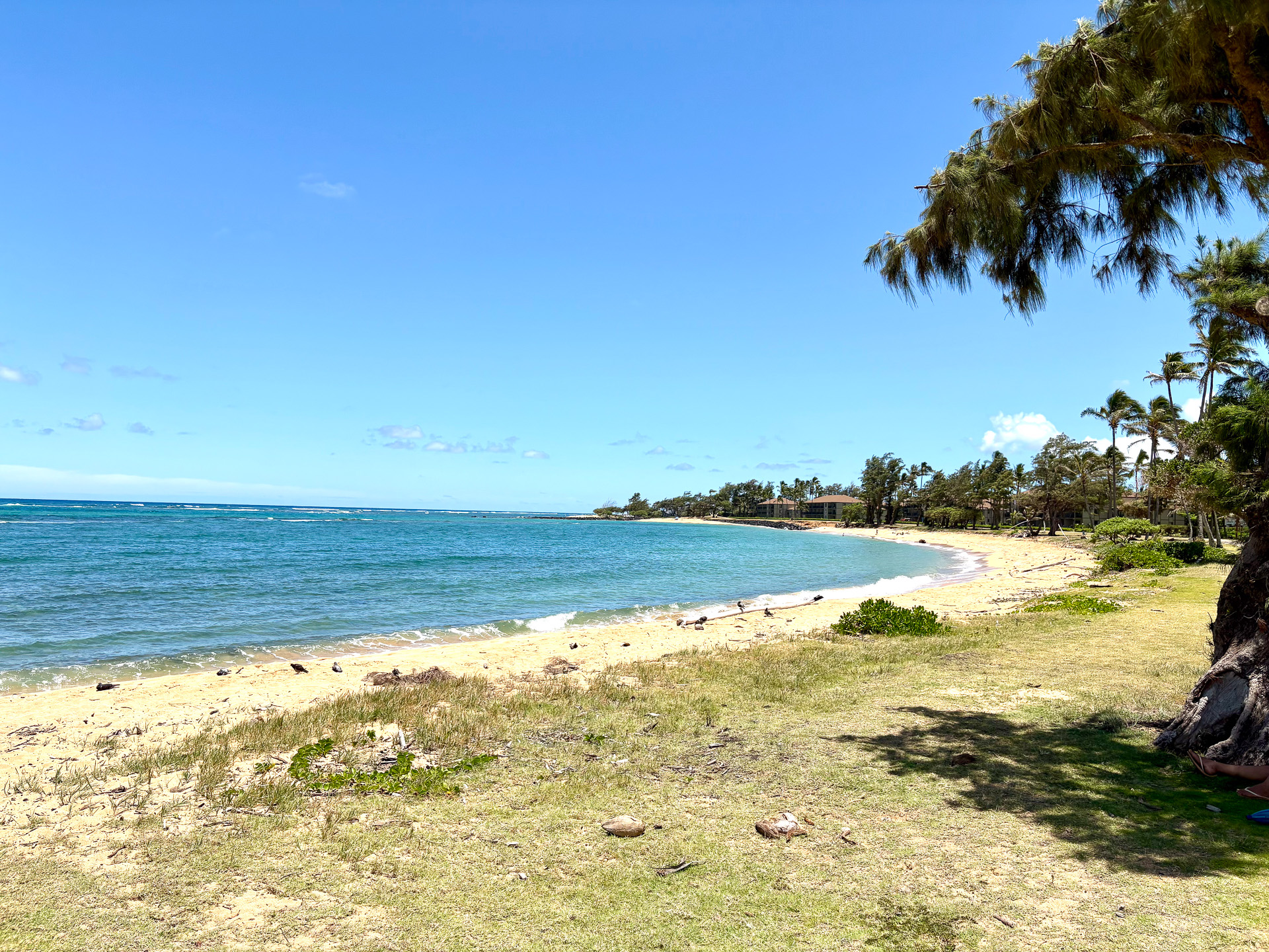 穏やかな波で、地元の人も家族連れでくつろぎにやってくる
