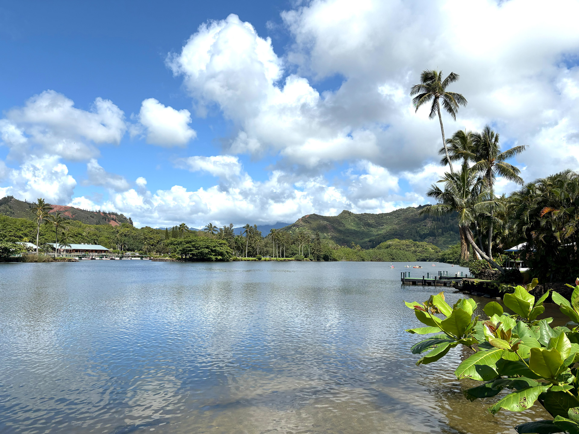 川幅が非常に大きなワイルアリバー。下っていくとシダの洞窟があり、その先ではハイキングを楽しめる