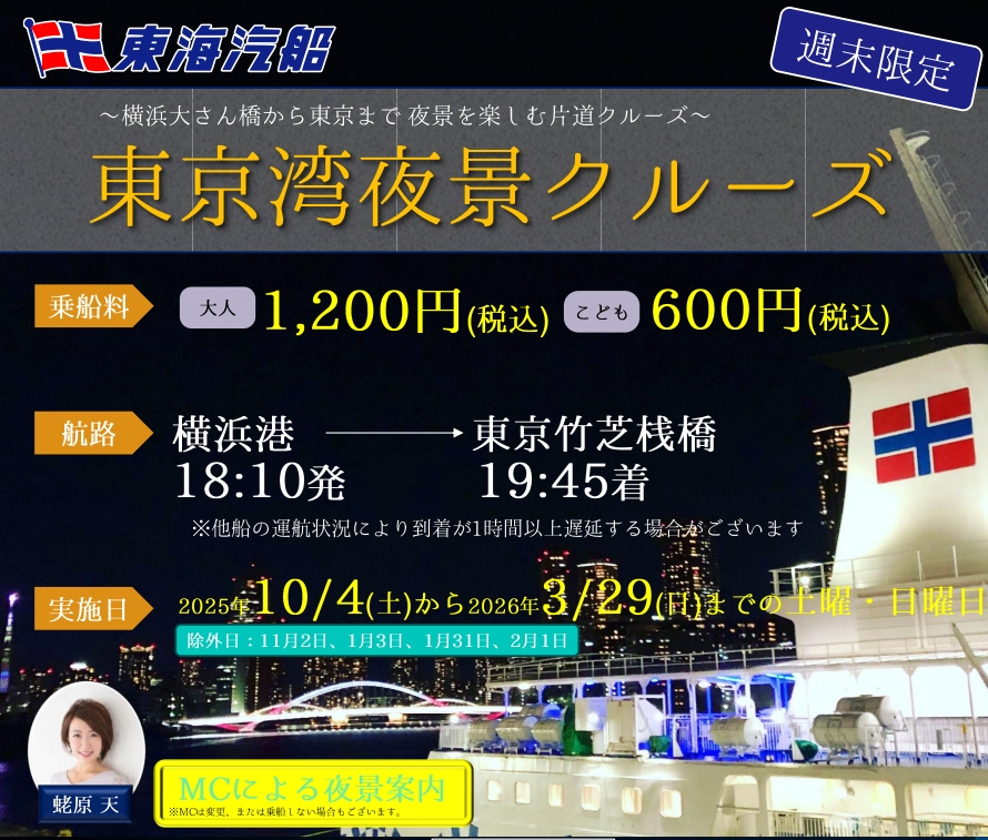東海汽船「東京湾夜景クルーズ」