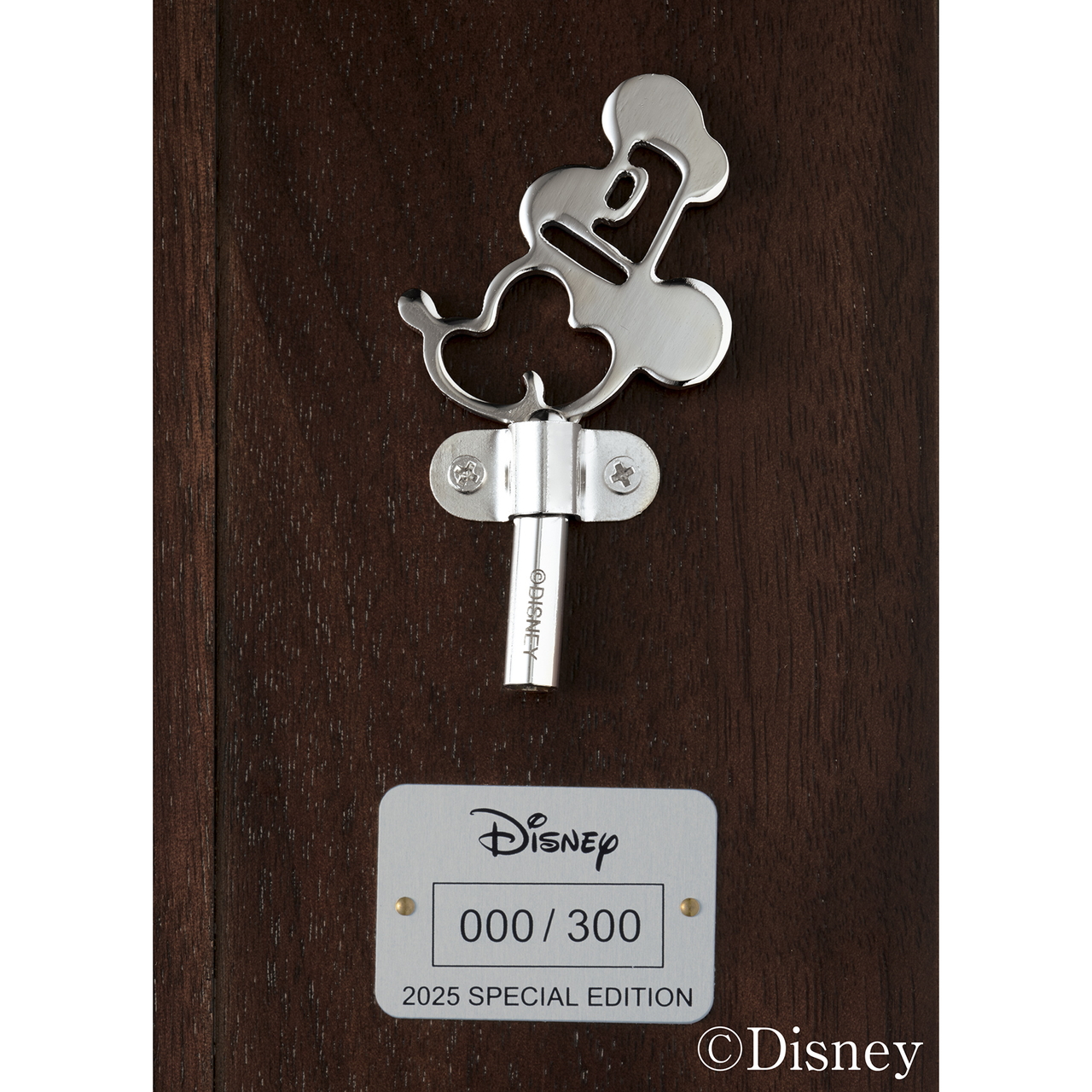 側面には取り外し可能なオーナメントと限定モデルの証にシリアルナンバーが記されたプレート