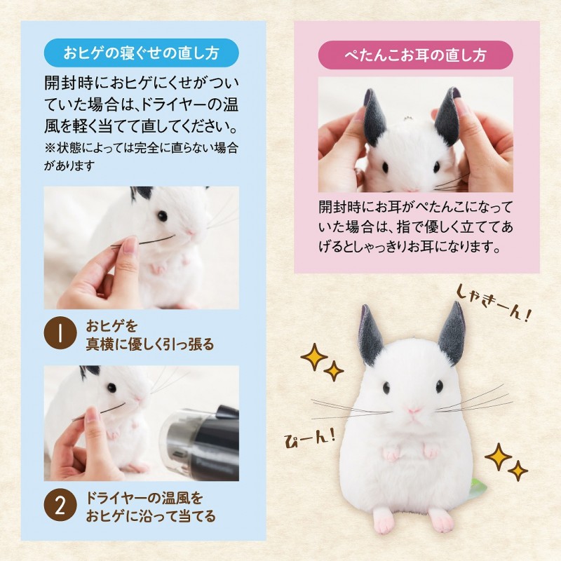 お手入れの仕方