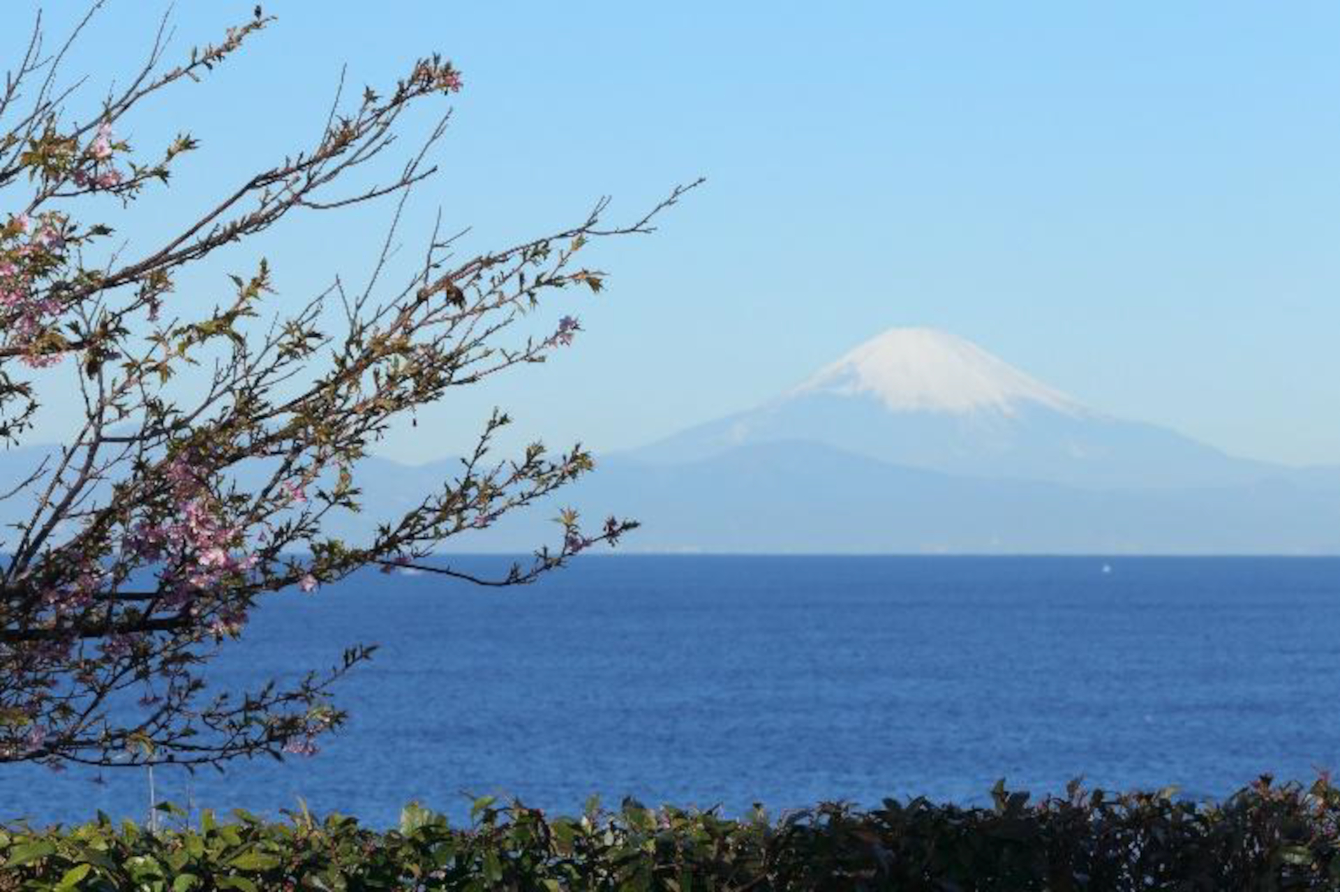 京急電鉄×三井不動産、三浦半島に新たなリゾートエリア創出へ（画像は旧京急油壺マリンパークからの眺望）