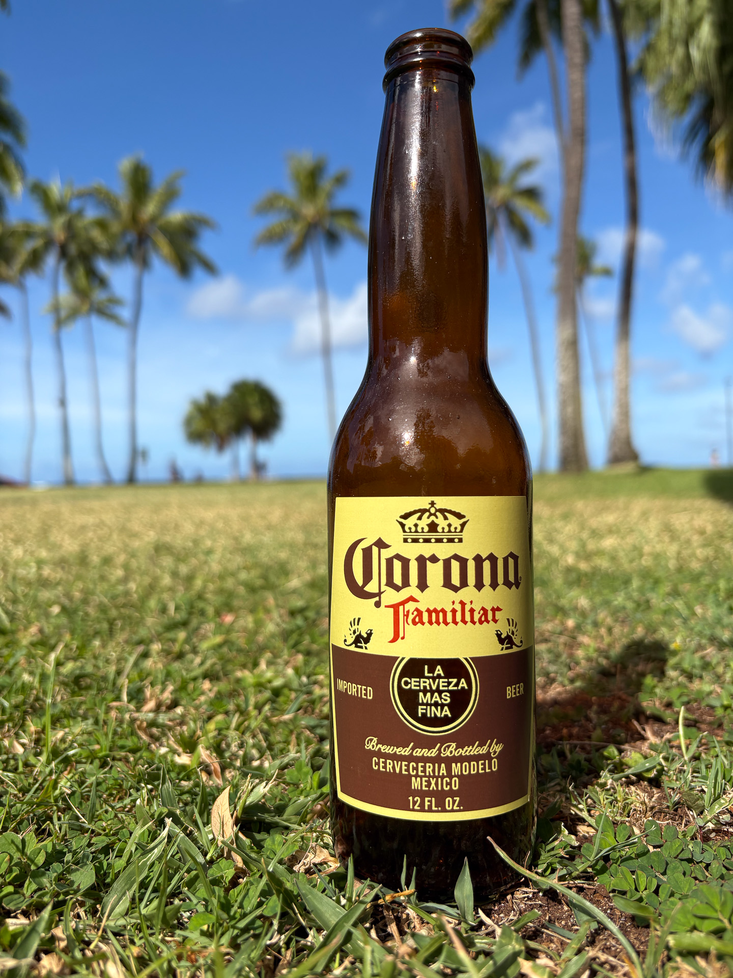 いつものコロナビールと何かが違う？と思いながら飲むビール