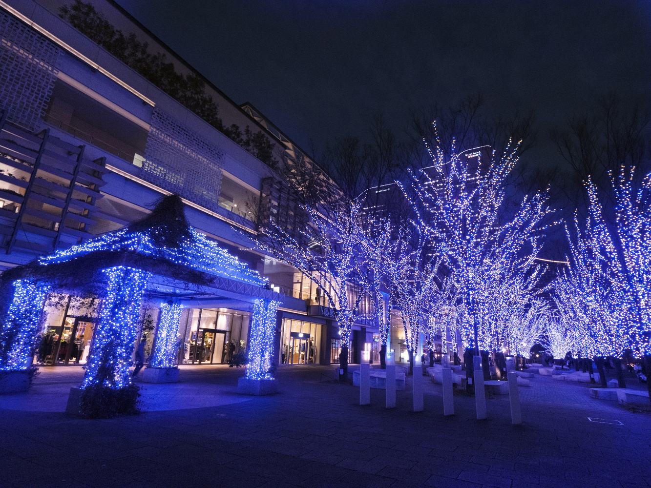 横浜都心臨海部のイルミネーションイベントをつなぐ「THE YOKOHAMA ILLUMINATION」を実施。画像はヨコハマミライト