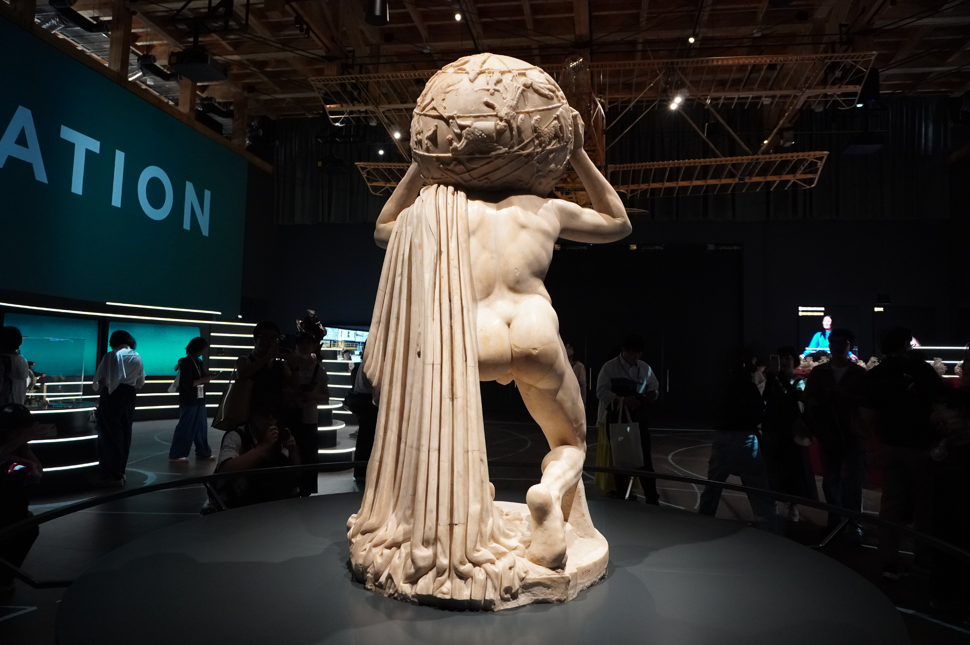 うしろ姿までじっくり見学できる