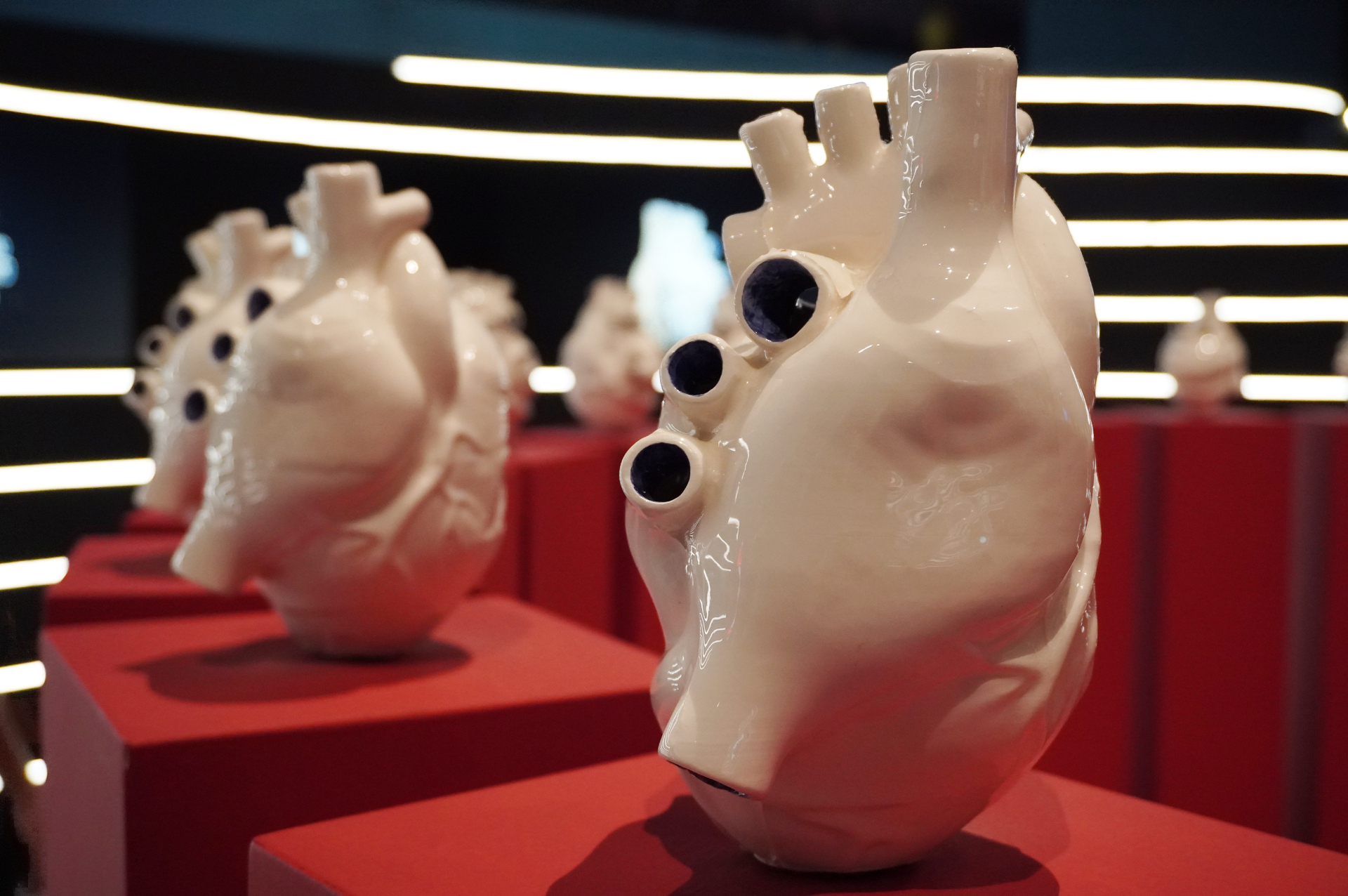 30個の心臓を円形に配置し、生命の絶え間ない循環を表現