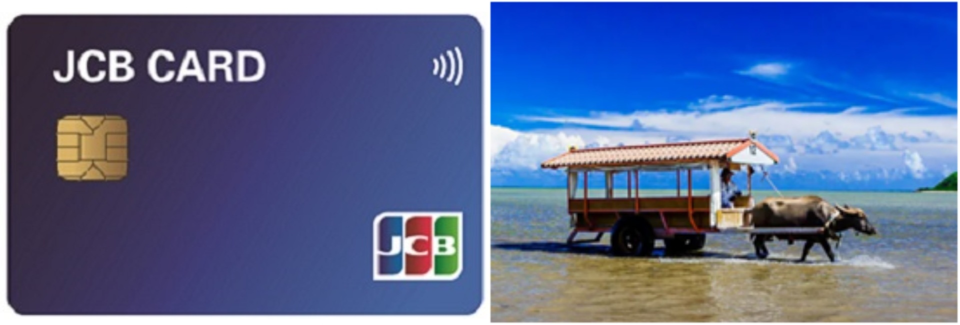 タッチ決済乗車が可能になる「水牛車」