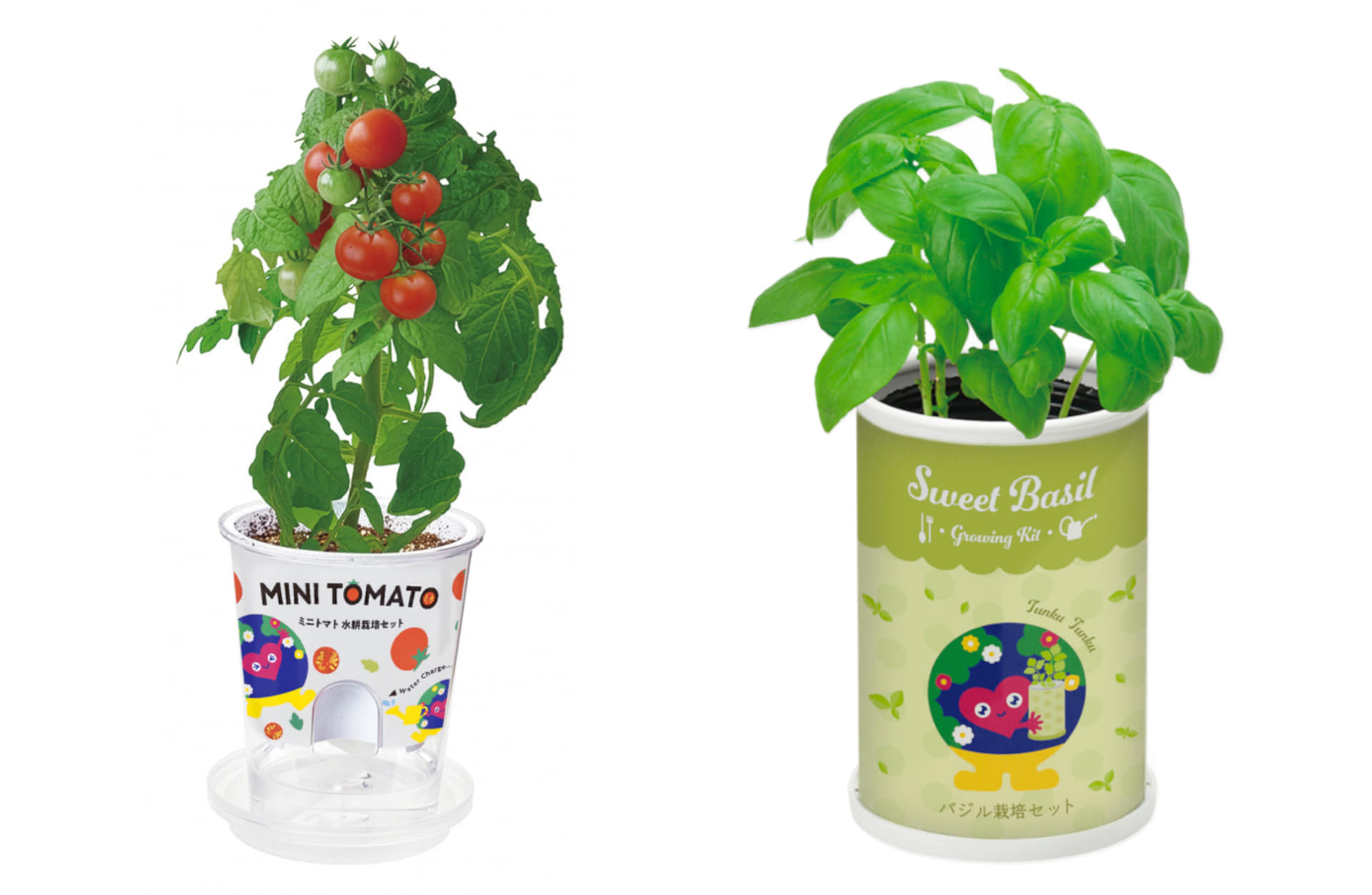 2027年国際園芸博覧会に向けて、おうちで育てる「トゥンクトゥンク」栽培セット発売