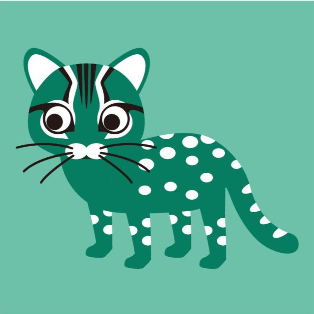 イリオモテヤマネコ