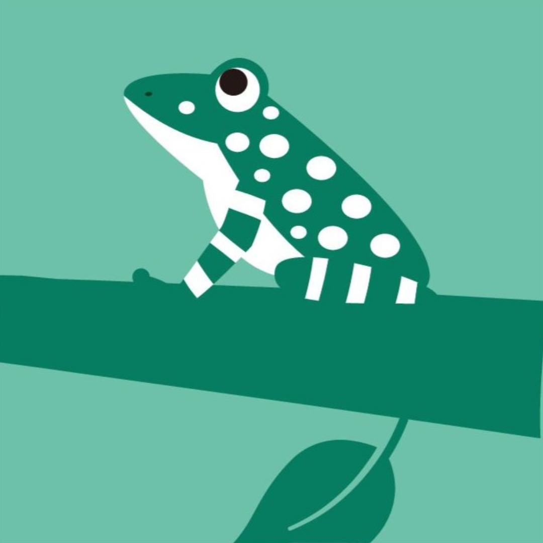 オキナワイシカワガエル