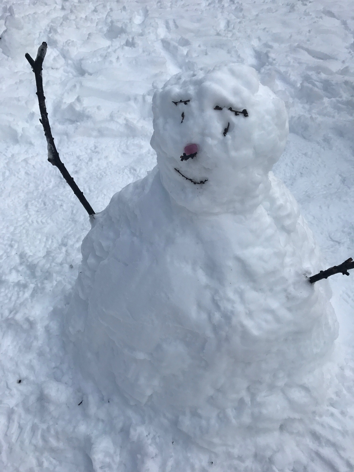 公園で出会った雪だるま