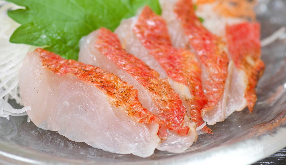 東伊豆の名産「金目鯛」を炙り刺身や握りずし、煮付け、炊き込みご飯などで味わえる