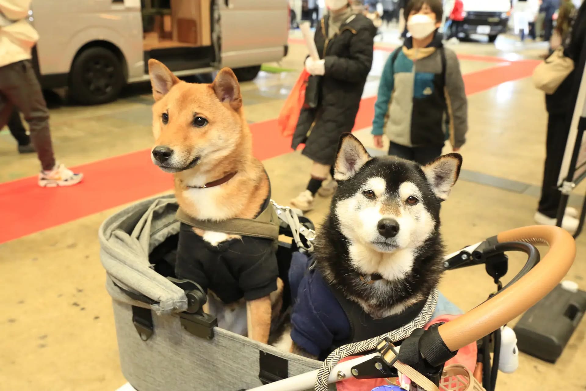 2025年開催時の様子