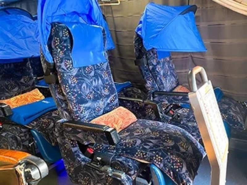 車内はキャノピー付き3列独立シートが基本