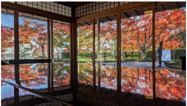 MOA美術館の日本庭園「茶の庭」などは隠れた紅葉の名所