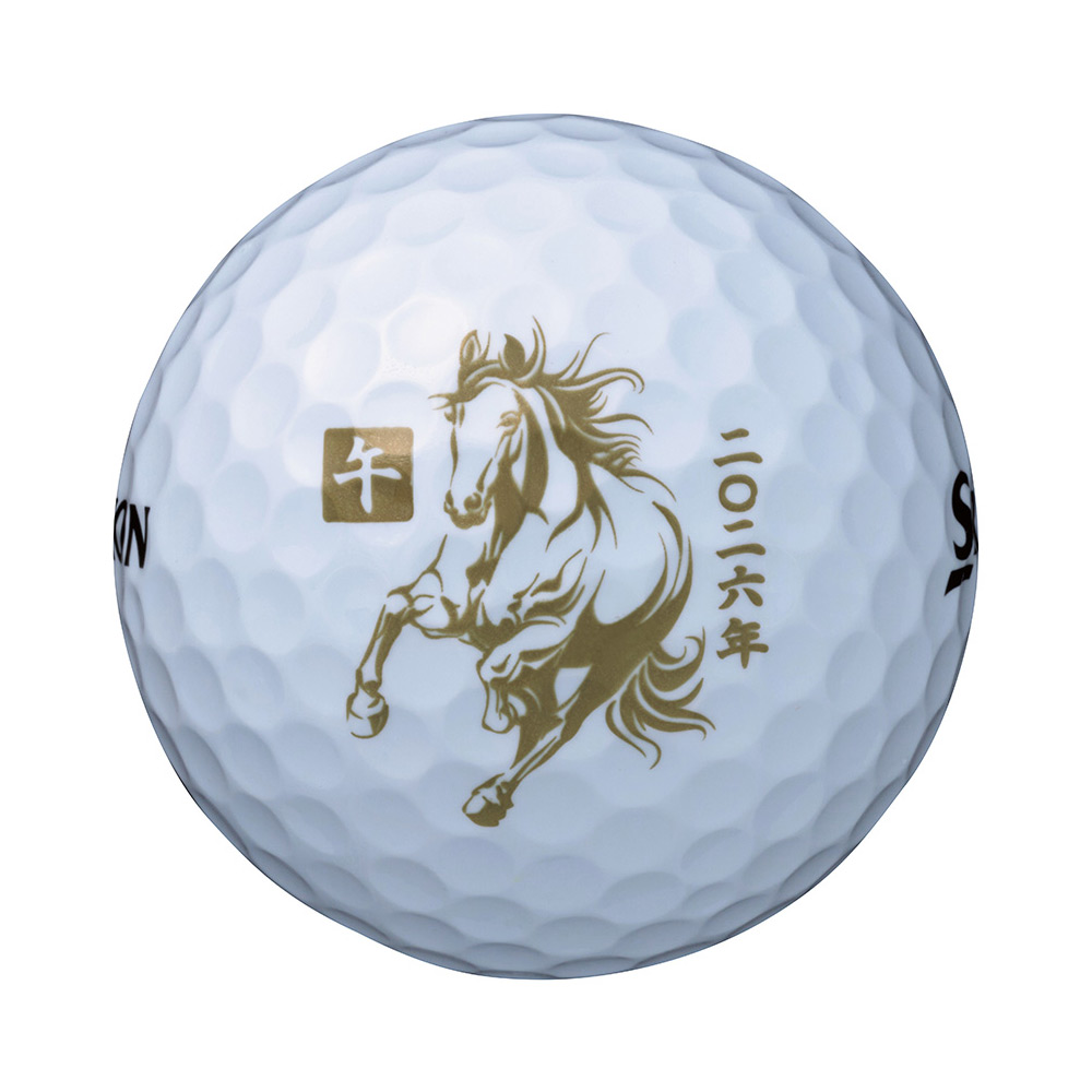 DUNLOP 干支ゴルフボール1ダース（6160円）