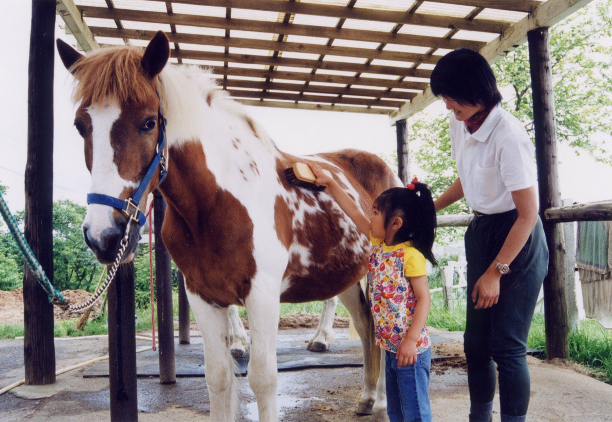 そごう千葉店「馬のお世話体験＆牧場グルメ満喫福袋」
