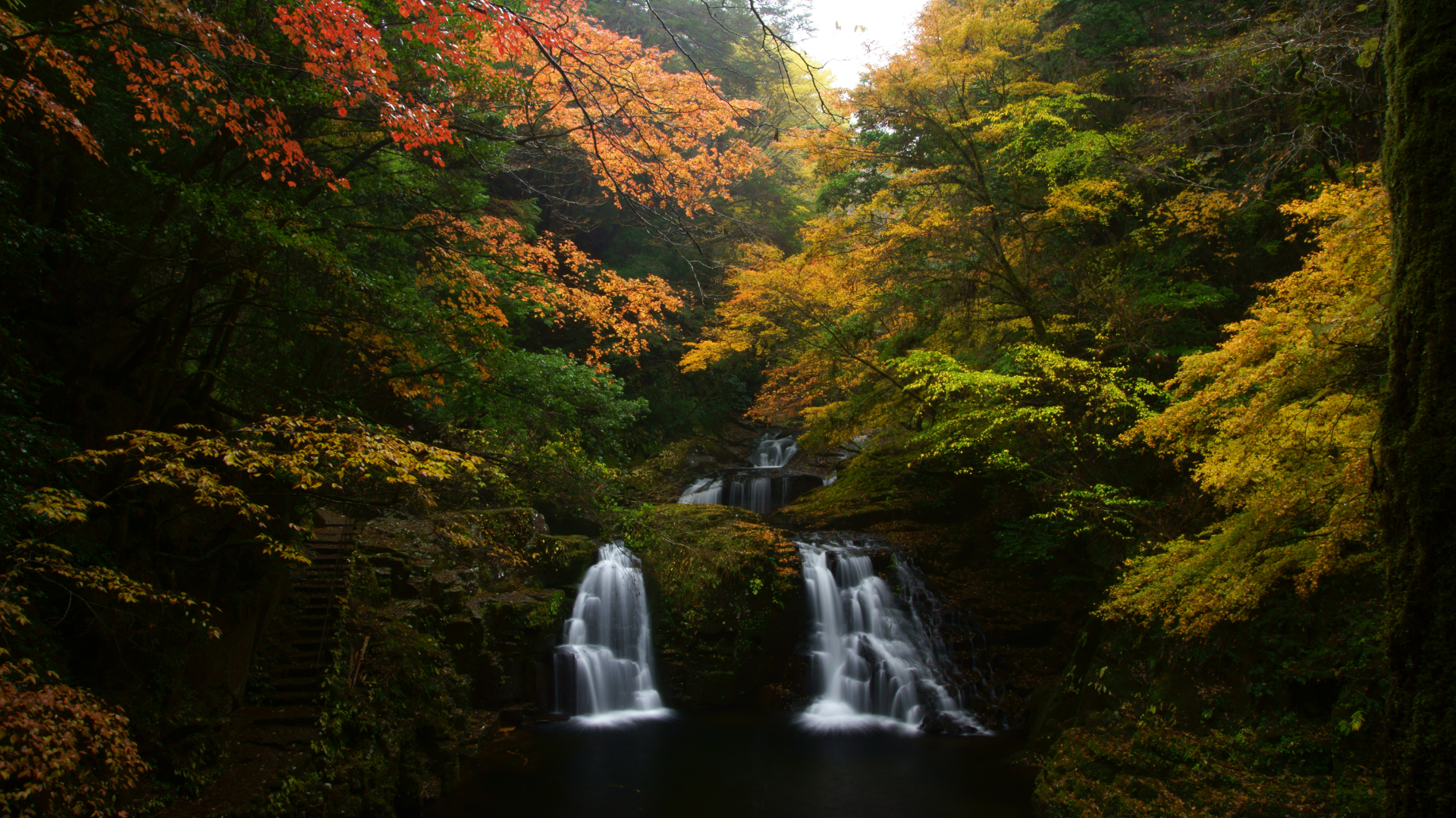 三重県名張市の名勝「赤目四十八滝」で紅葉シーズン到来。写真はピーク時（11月中旬）の荷担滝