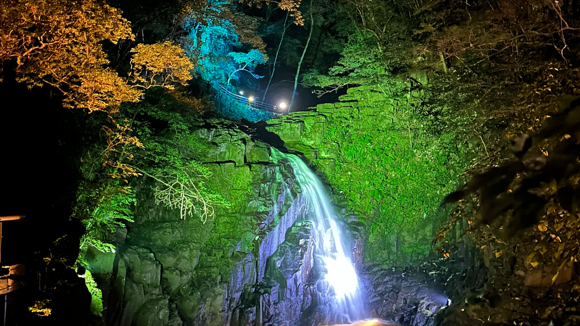 ライトアップされた不動滝（入り口から徒歩5分）