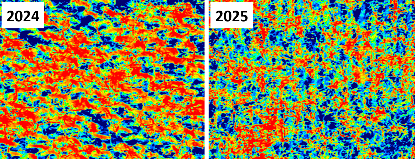 「極暖」表面の凹凸が青赤で示された3D形状撮影映像（25倍）
