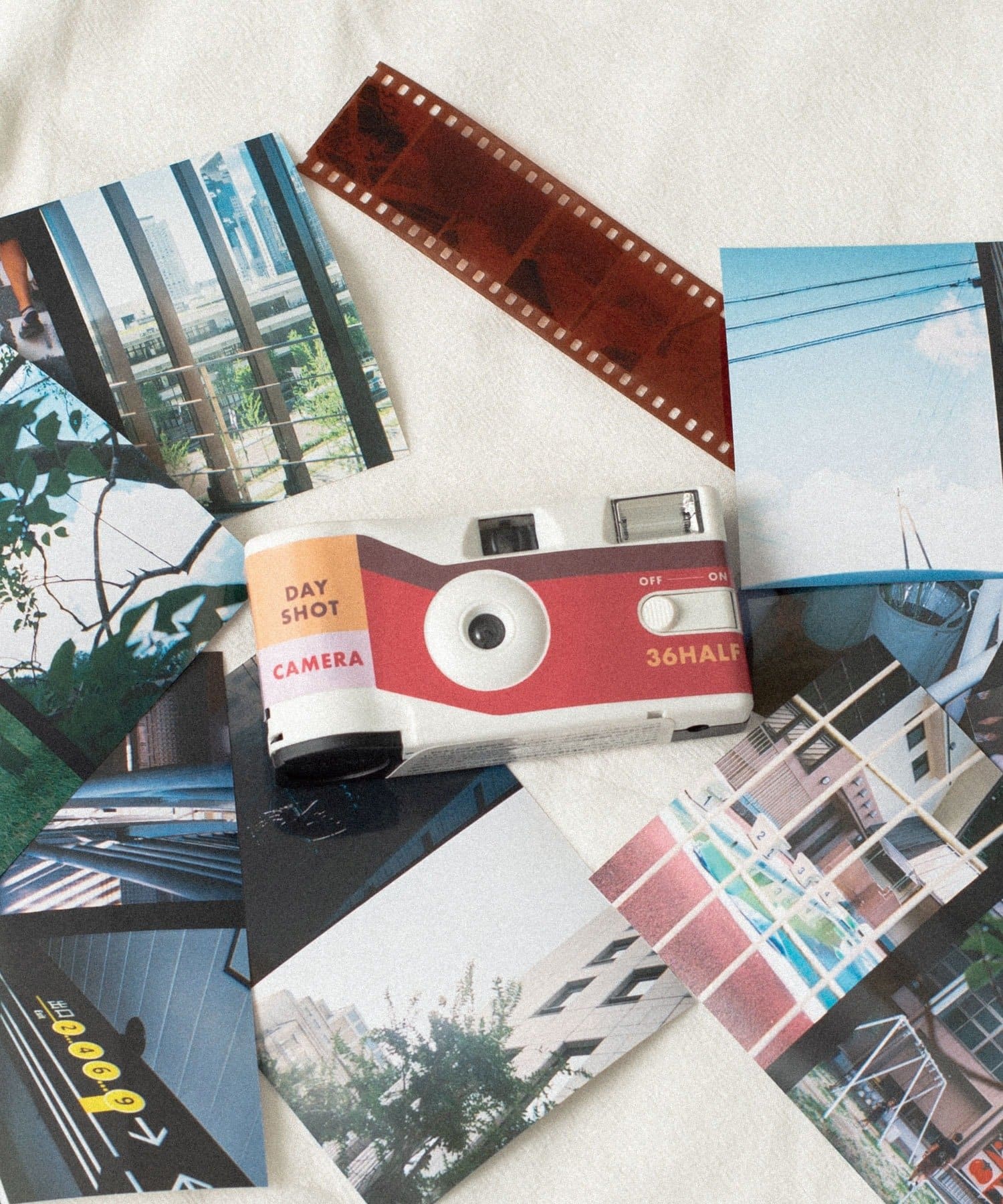 撮影した写真のイメージ