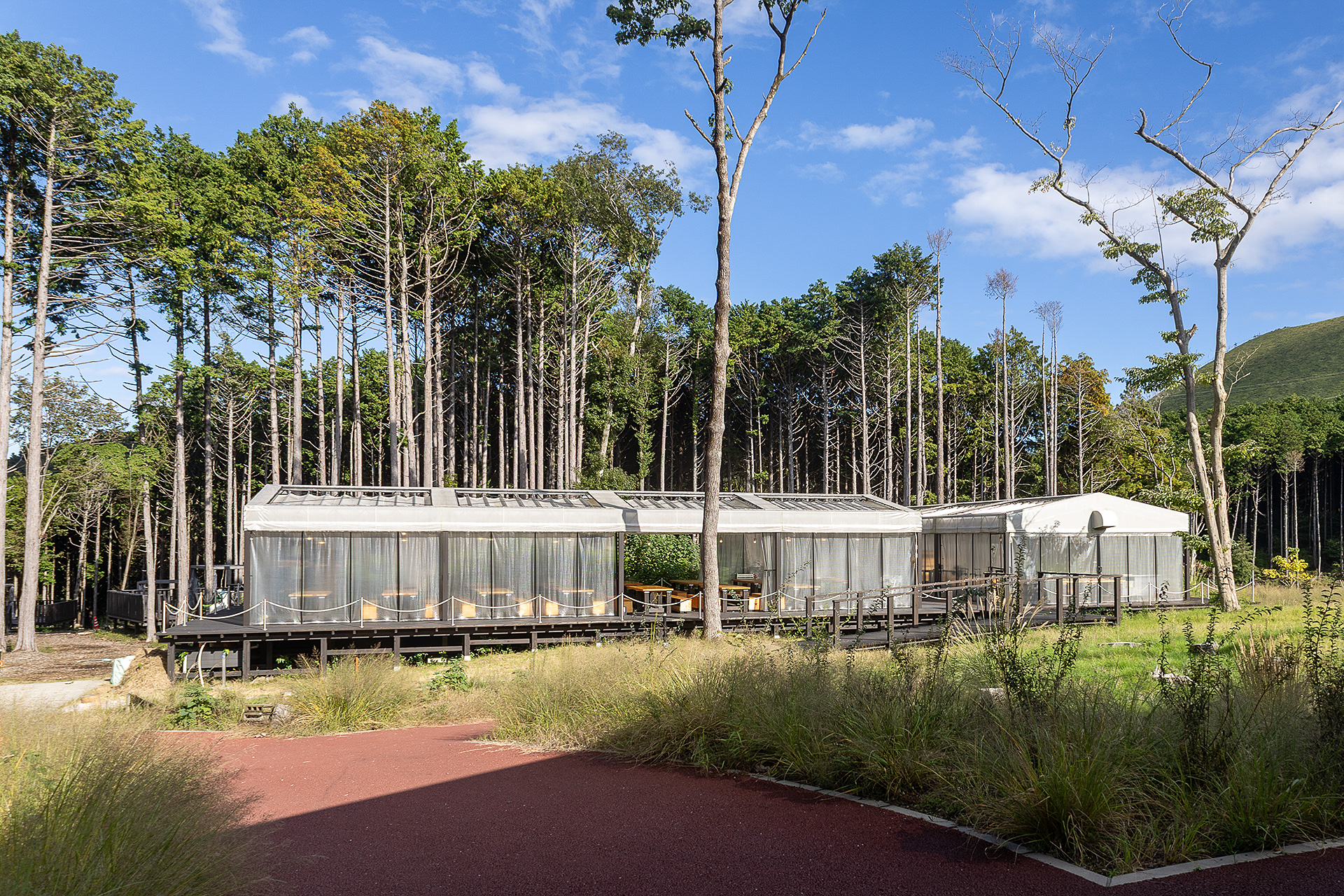 BBQエリアの利用を希望の場合は予約時に伝えておこう