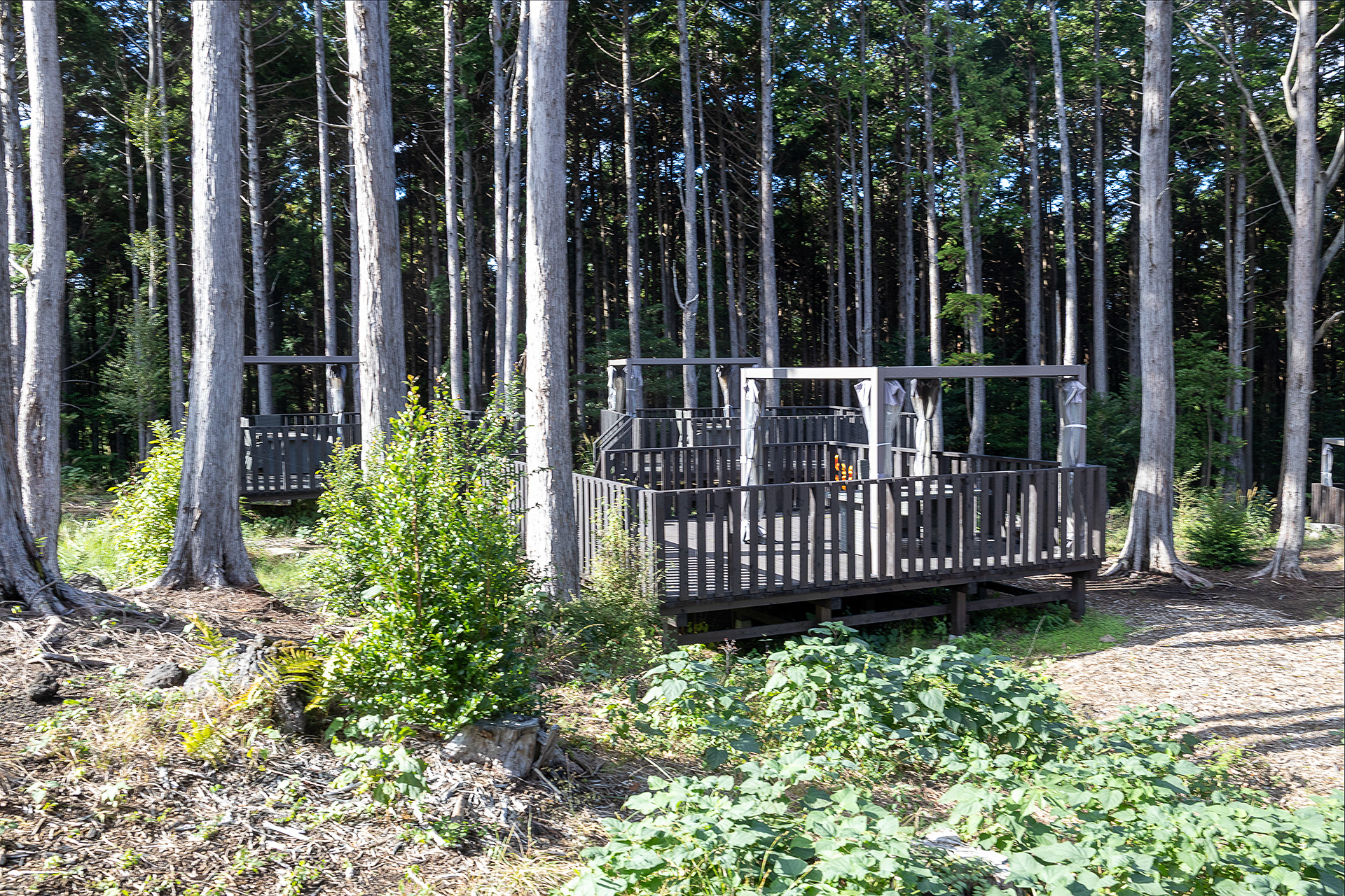 こちらはグループごとの利用ができるBBQコーナー。予約と別途料金が必要だ