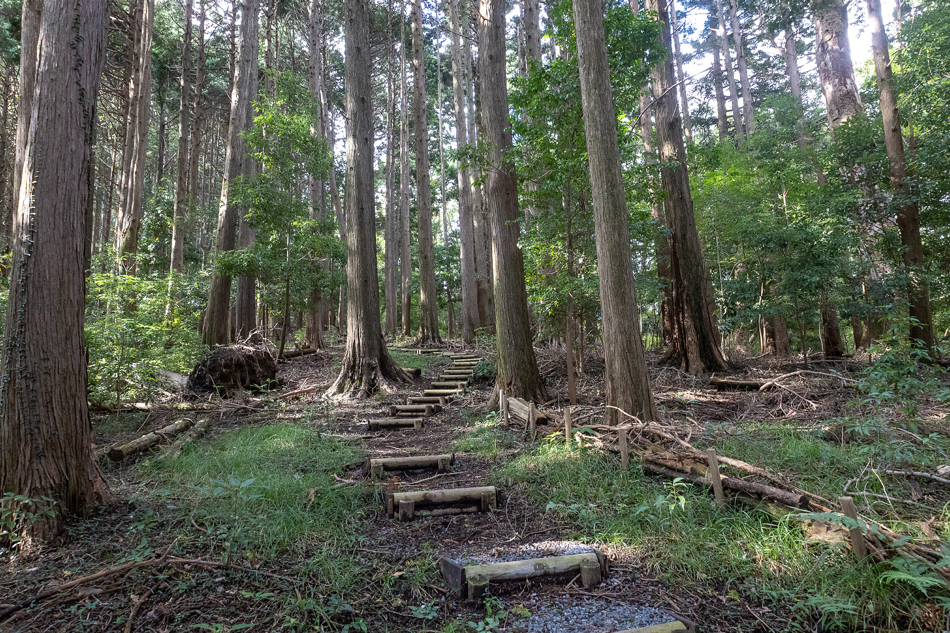 山林を歩くコースは人が楽しむルートもある。写真のとおり、それなりに歩きがいのあるルートなので、散策とはいえ山歩きに適した靴や服装で望みたい