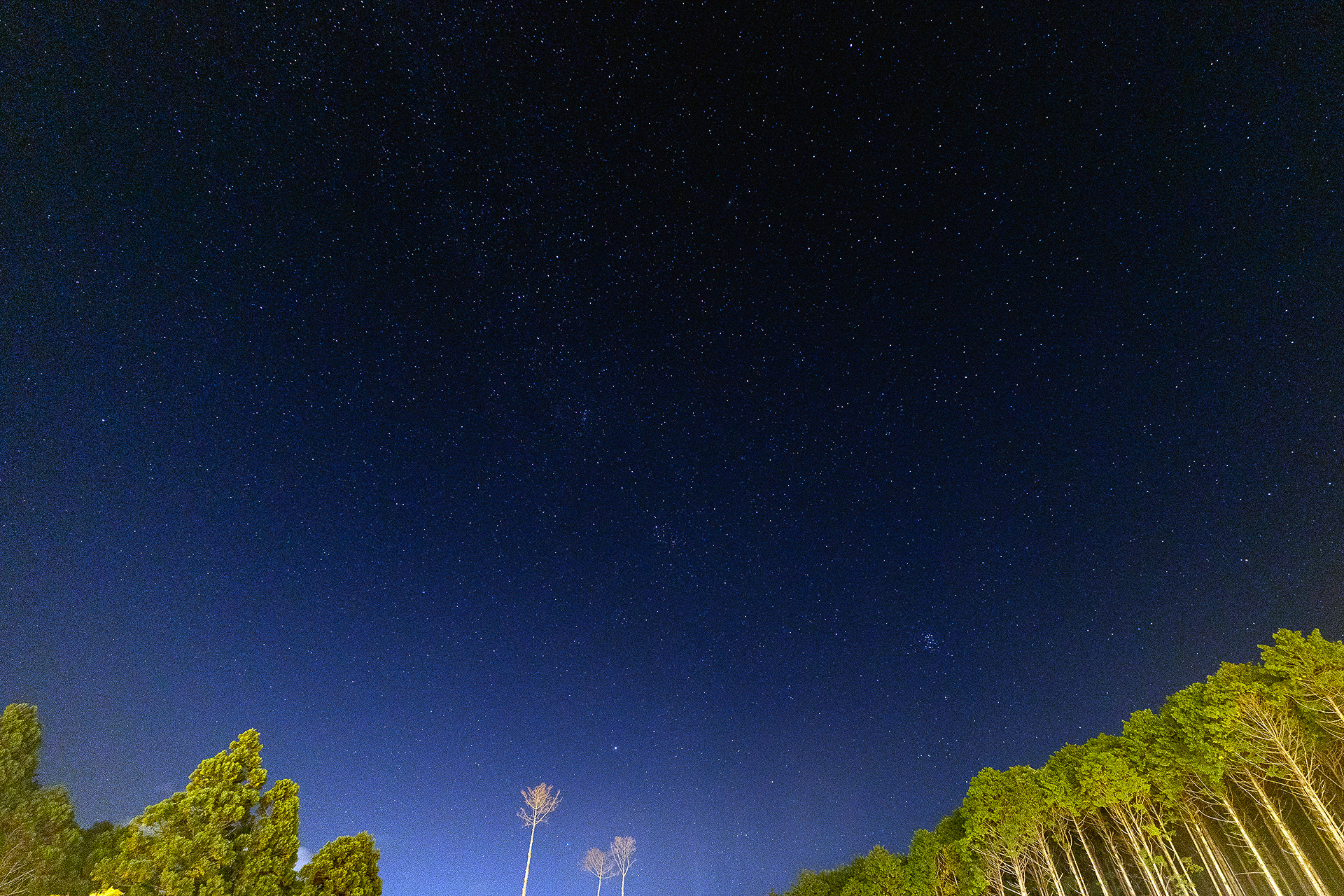 星がきれいに見えるエリアなので、星空も撮ってみた。施設内は照明がついていて明るいので、肉眼ではちょっと見にくいかもしれない