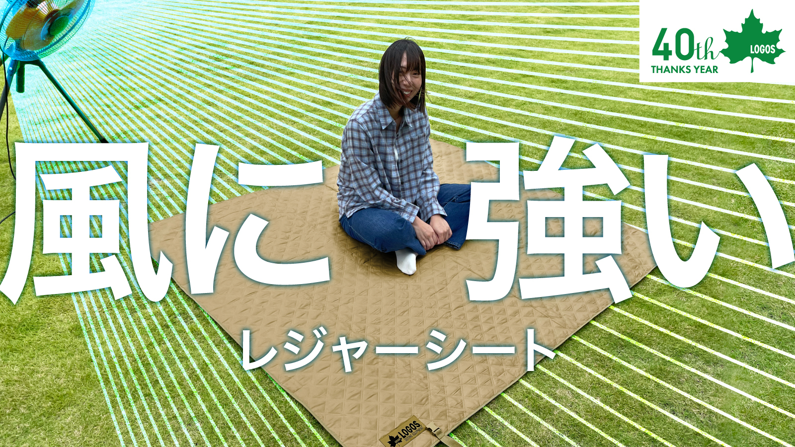 防水・断熱仕様で冬のアウトドアに使える「風にも負けないレジャーシート（165×200cm・ウェイト入り）」