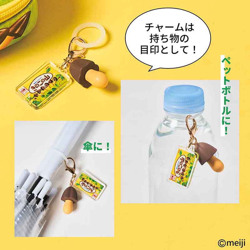 チャームもセット