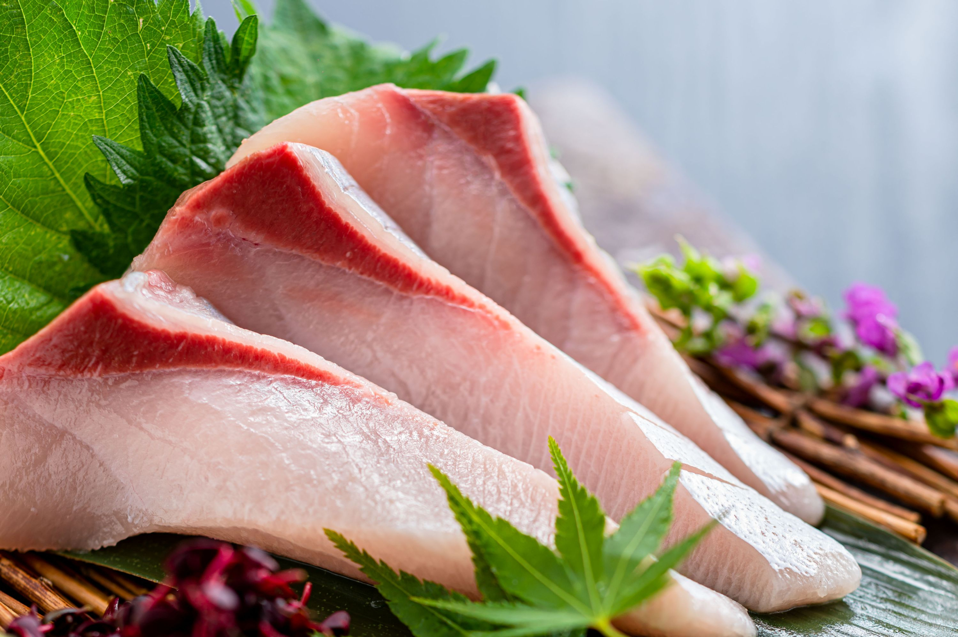 冬は脂がのった「ぶりのお造り」。軽く炙った「ぶりの炙り握り寿司」も