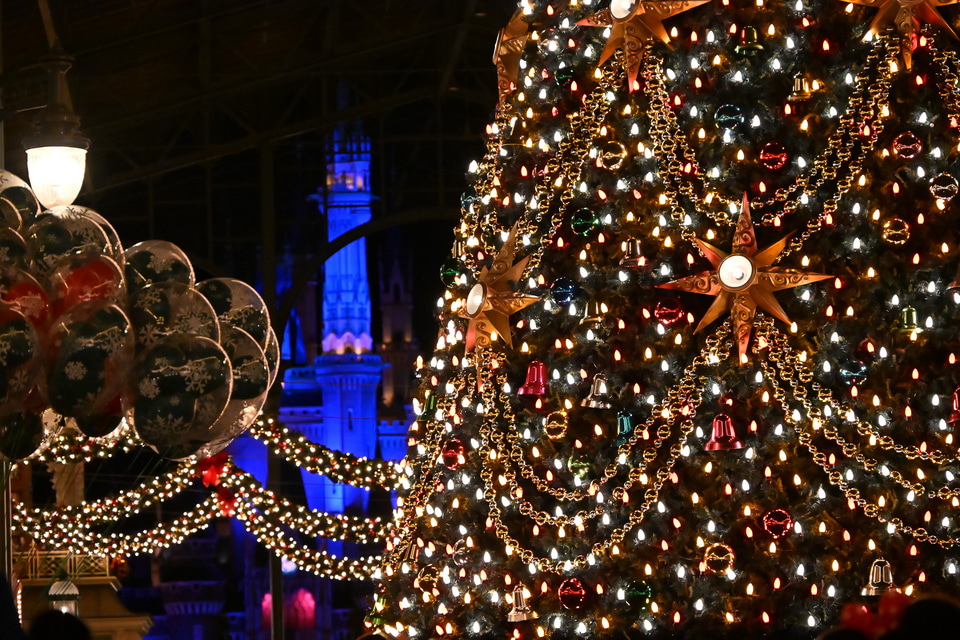 ディズニー・クリスマスは夜景も素敵！ ロマンティックが溢れる夜の