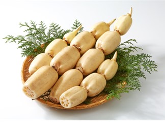 茨城県のレンコン（朝どれ直送福袋イメージ）