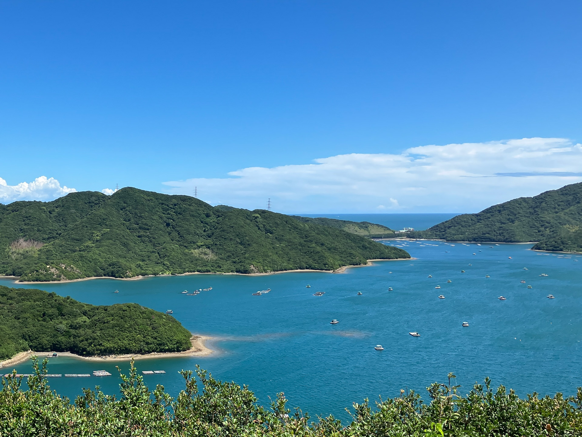 徳島県鳴門市ウチノ海