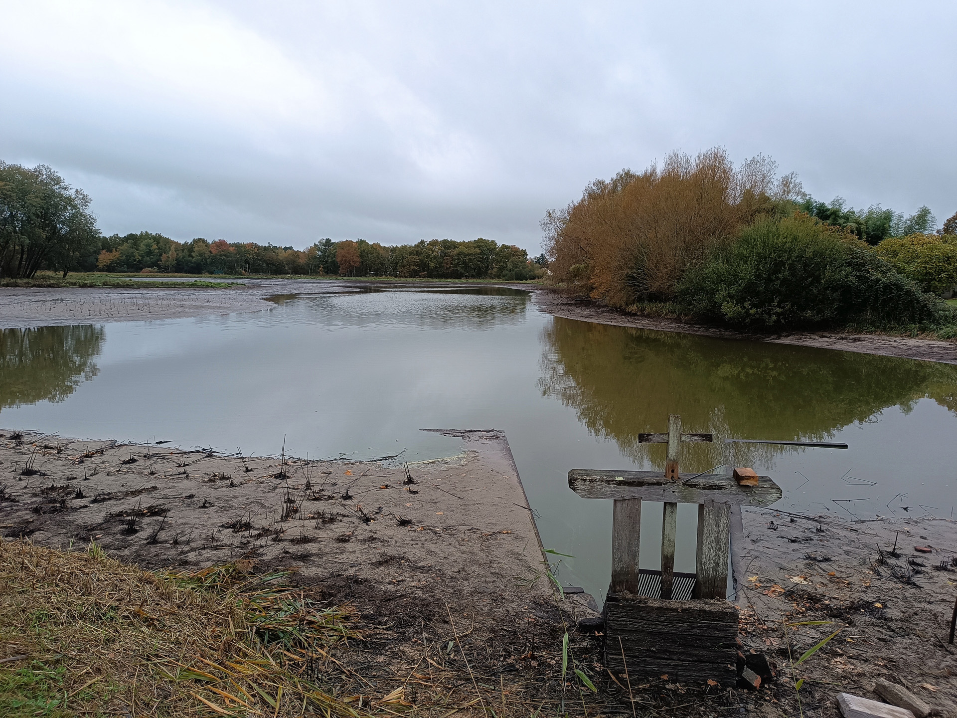 普段の池（左）と、柵を抜いたあとの水位がだいぶ下がった池