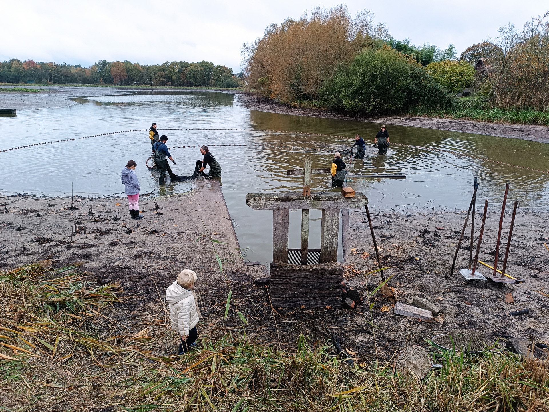 抜群のチームワークで魚を囲んで捕っていく漁師たち