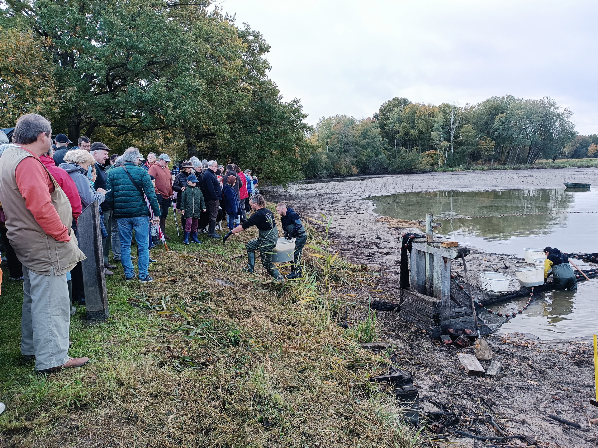 抜群のチームワークで魚を囲んで捕っていく漁師たち