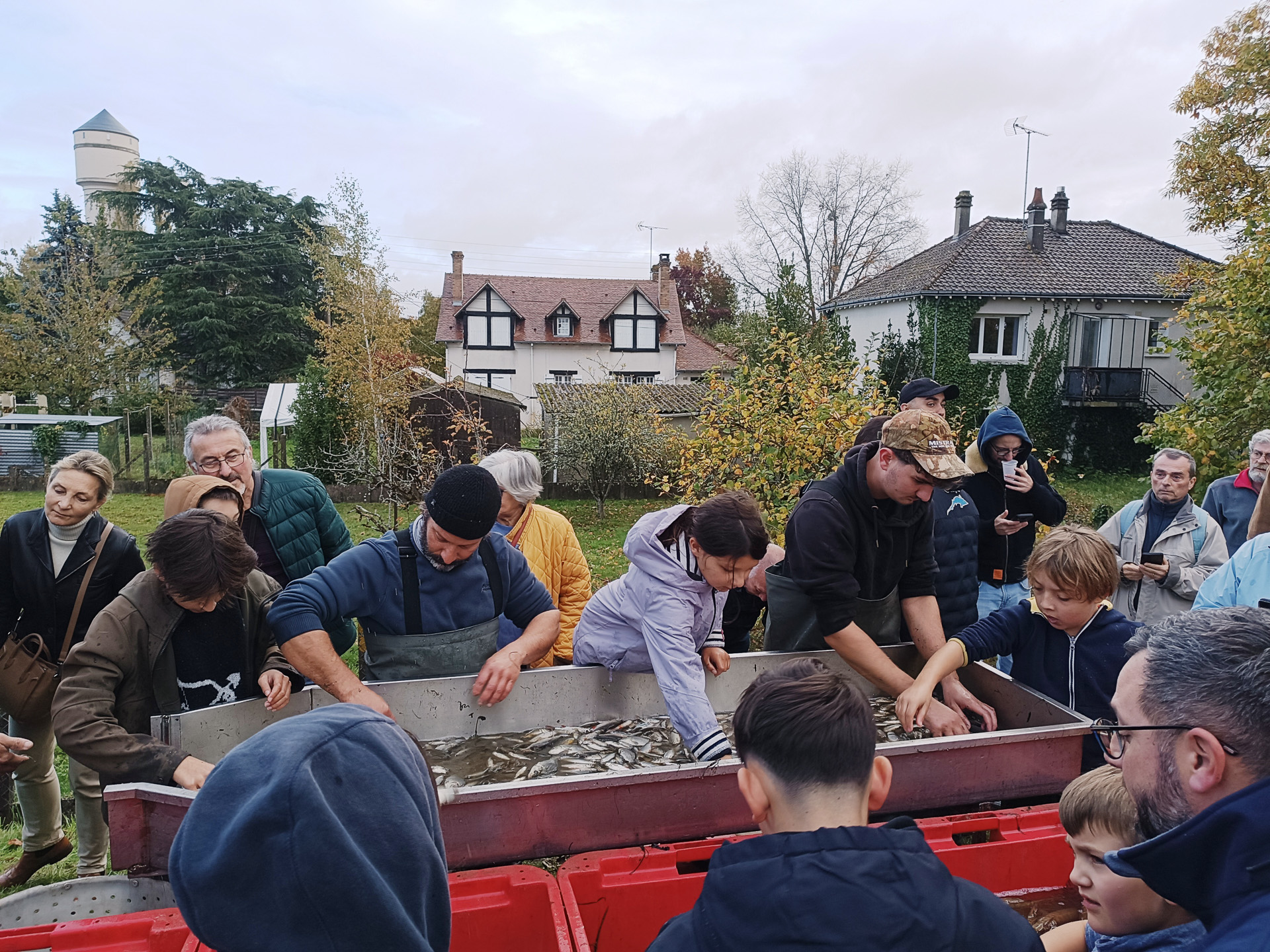 選別中の様子を見ている私も結構濡れました