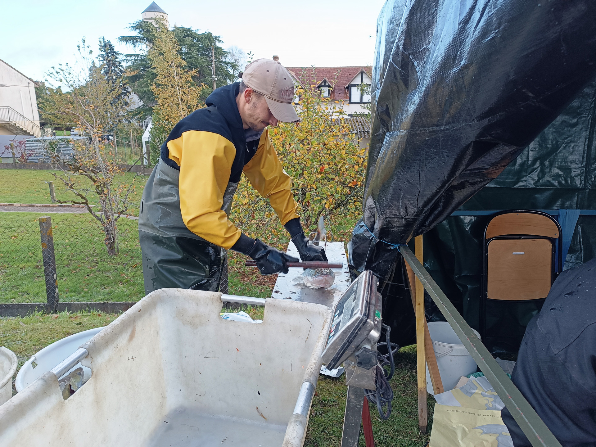 選別後の魚を買うと、魚屋で買うのとは違い、中型魚以上は頭に衝撃を与えて締めてはくれるものの、あとは自分で処理をします。小さな魚を買った人たちは、持参したバケツに水と一緒に入れていました