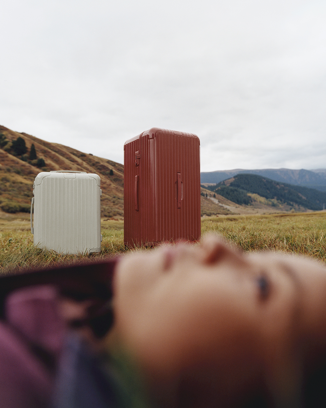 機内持ち込み対応サイズ「キャビン」から大型サイズ「トランクプラス」まで全4サイズ展開