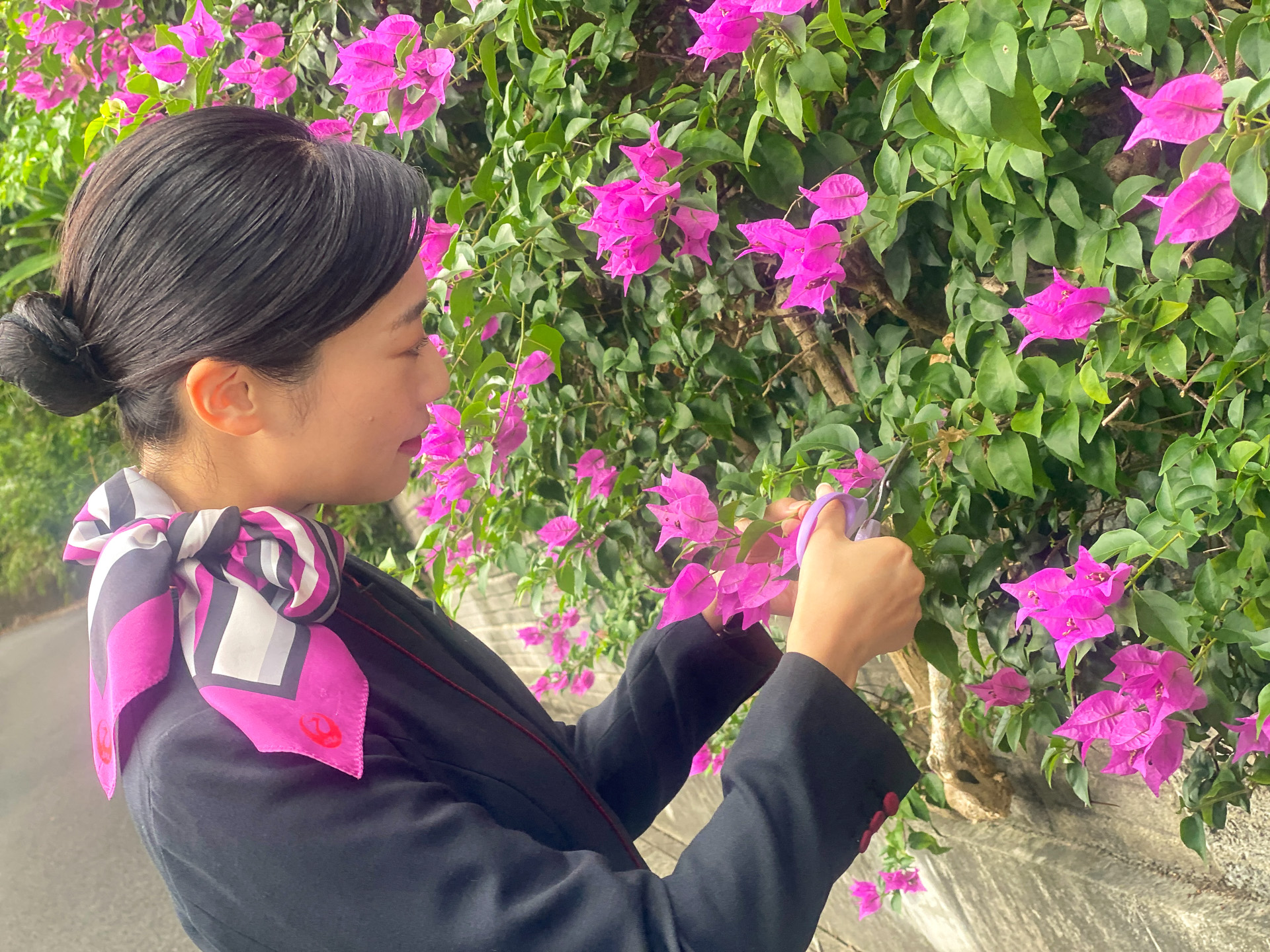 お花を摘む様子