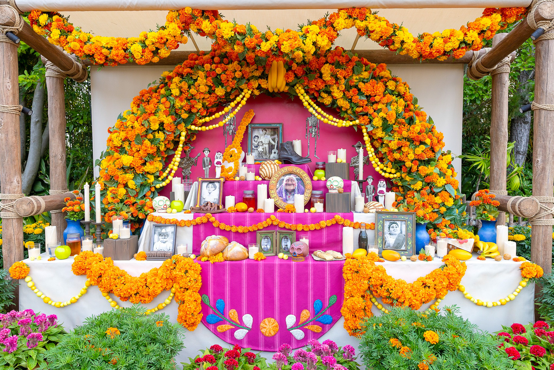 東京ディズニーシー「ラソス・デ・ラ・ファミリア」