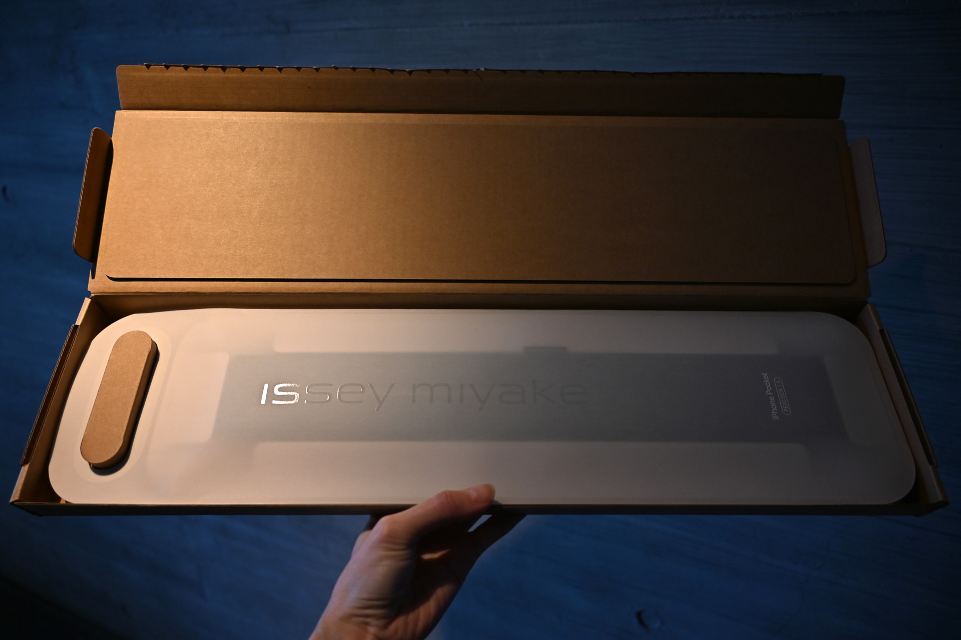 専用ダンボールで配送